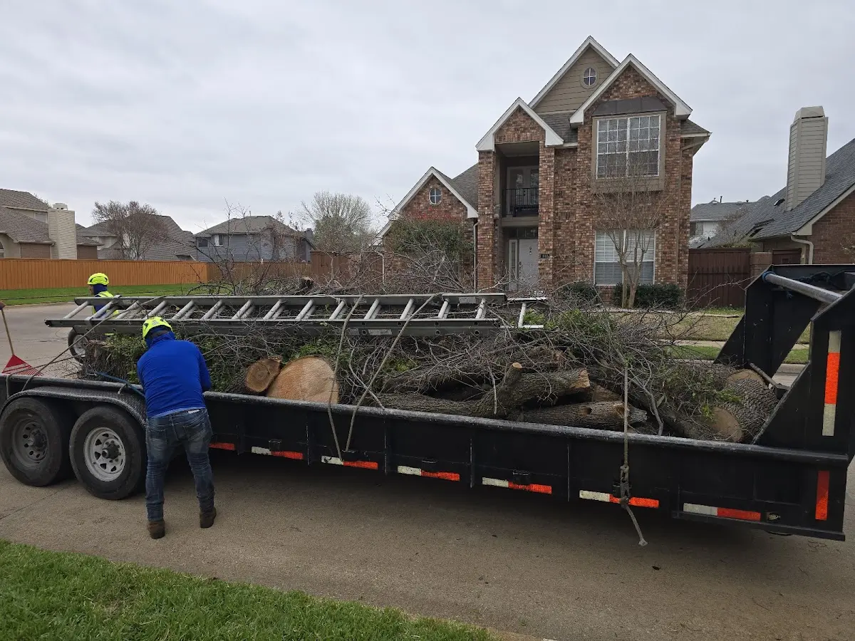 Expert Lot Clearing with proper safety equipment in Dunlap